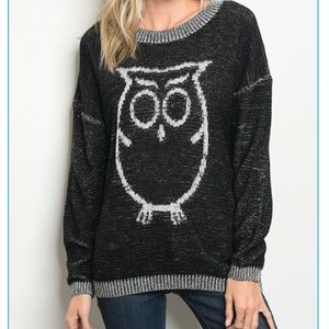 🌟Only Small Left🌟 Owl Sweater